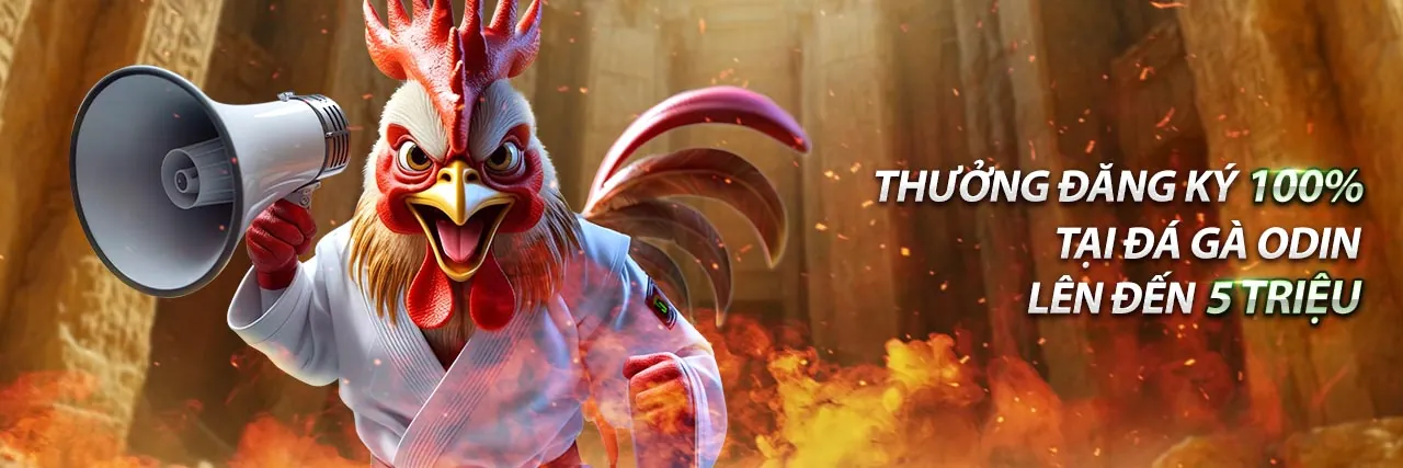 Ứng dụng okbay trên điện thoại di động