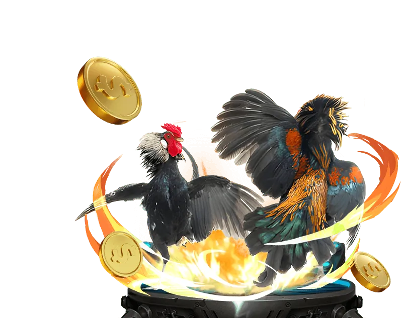 Ưu thế vượt trội Okbay